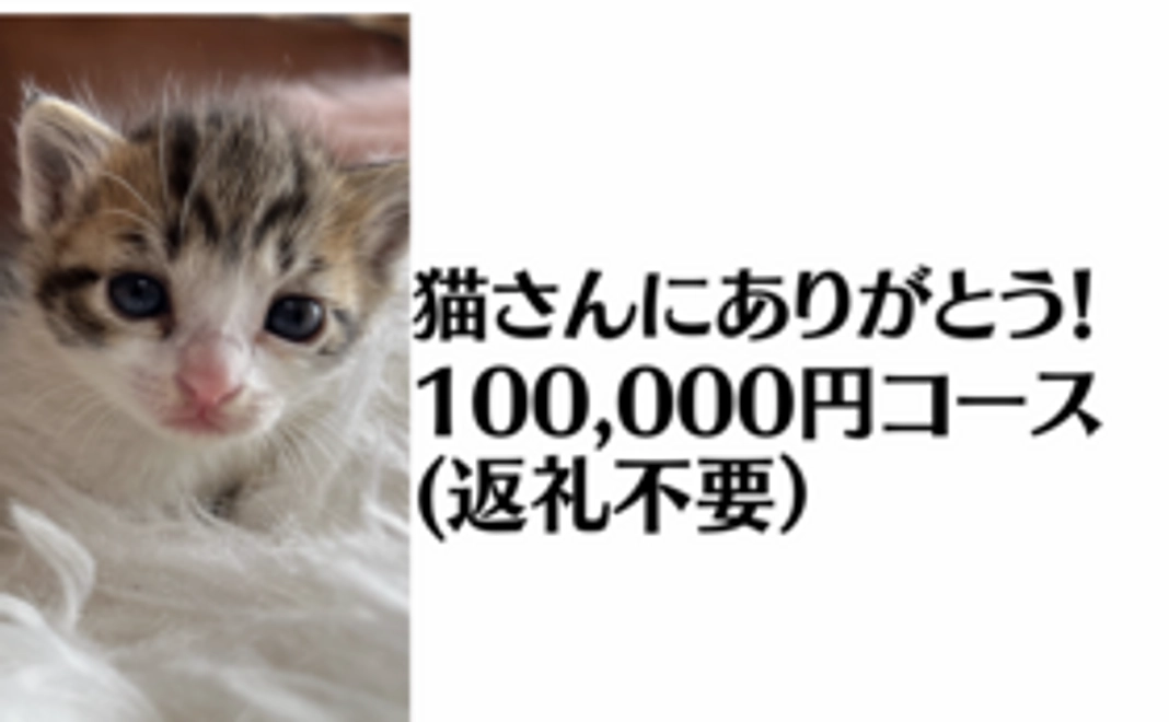 猫さんにありがとう10万円コース（返礼不要）