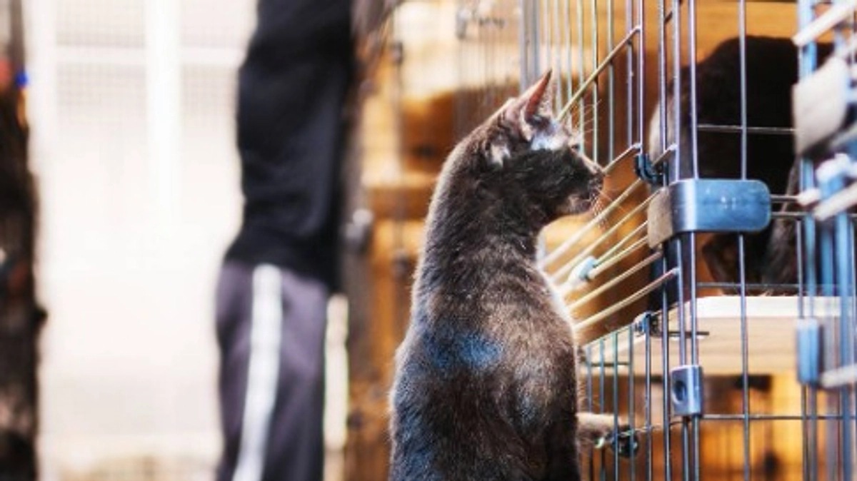 【メッセージリレー#３】スタッフの 五箇昌幸さんからメッセージをいただきました。