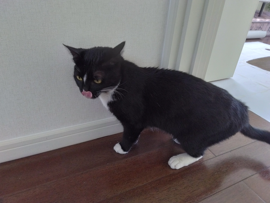 4/24はなちゃんの様子