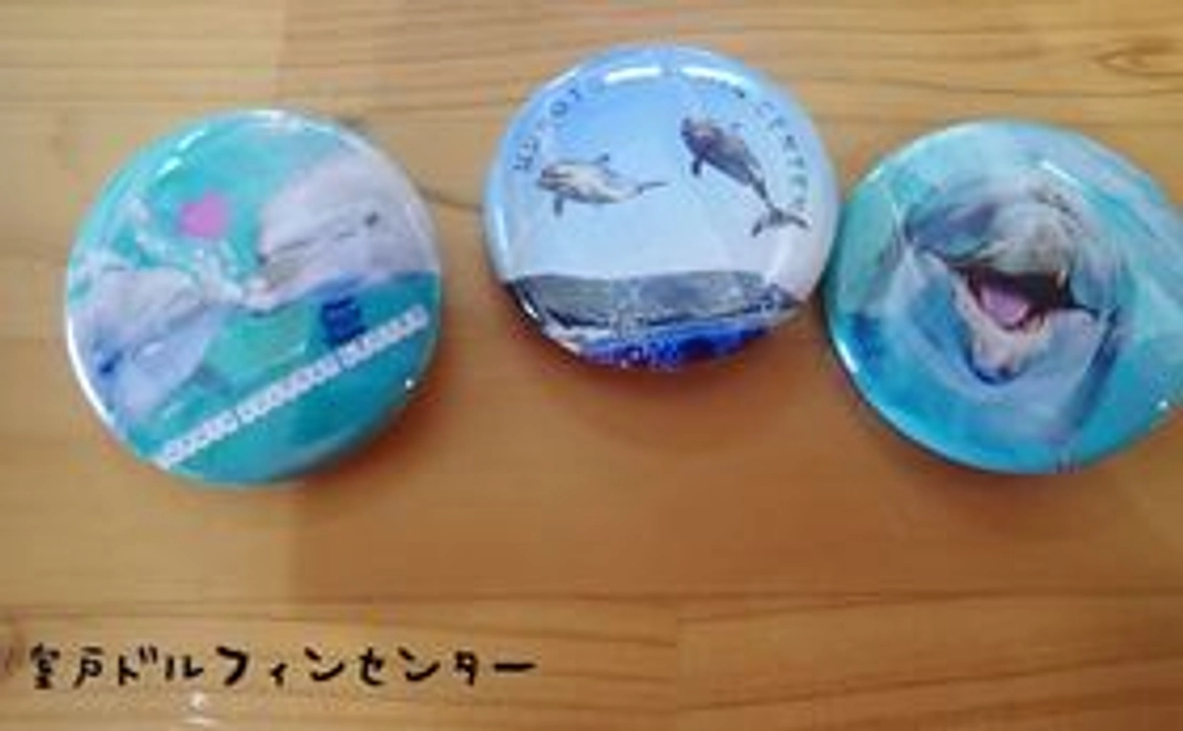 缶バッジ＋ポストカード　コース