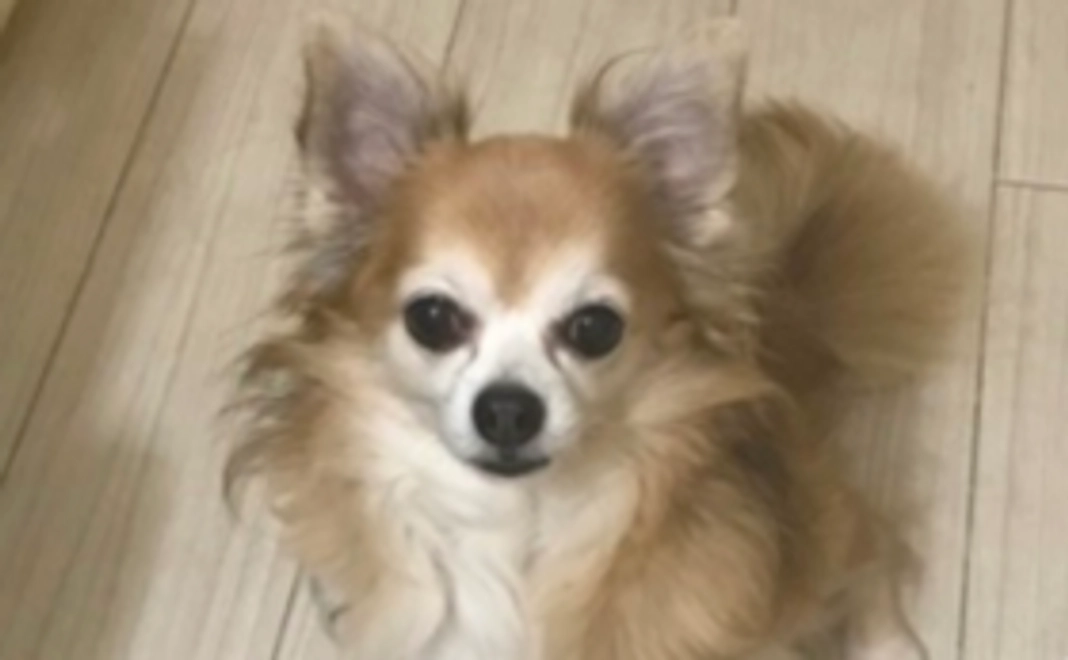 フィリップへの支援②