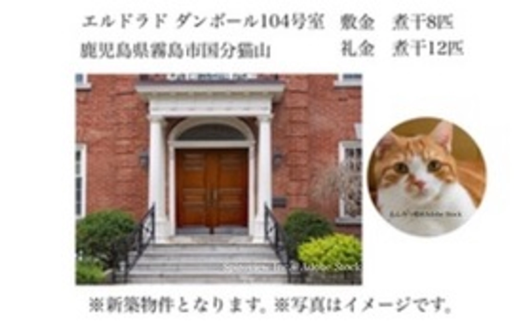 保護猫専用アパート仲介業　　　猫山不動産始動応援100000円コース