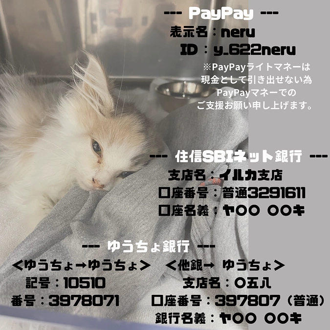 募集終了まで残り３日になりました😣💦ー代理支援22:30に反映しますー