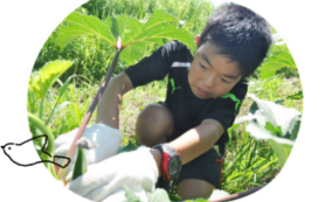 ‖アグリアーツの通常の活動に参加をしてみませんか?