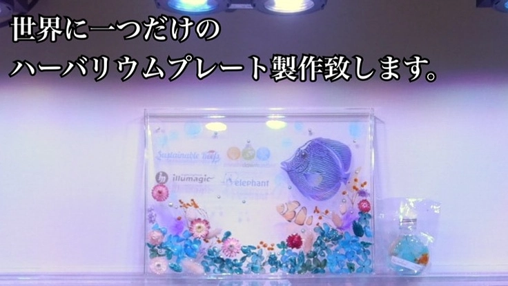 世界に一つだけのハーバリウムプレート製作致します！