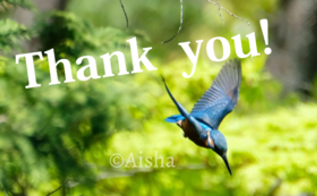 サンクスメール