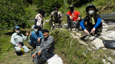 愛媛県宇和島市でみかんの木や山や農家を守る「竹の整備隊」を作りたい のトップ画像