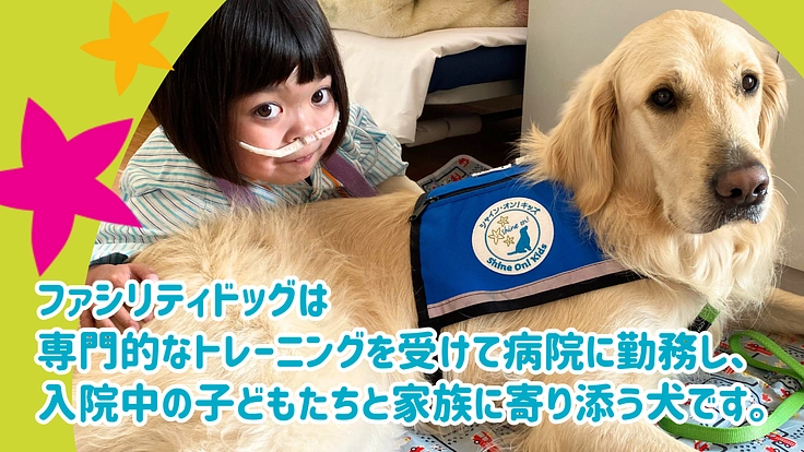 入院する子どもたちを笑顔に!ファシリティドッグ育成基金2023 2枚目