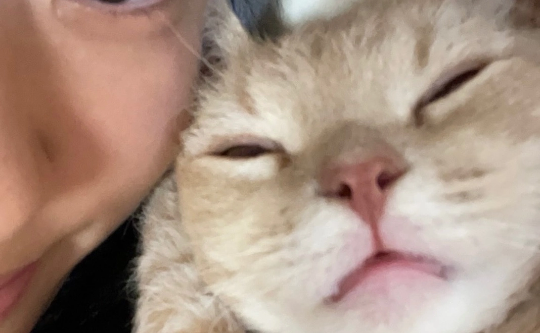 感謝のメール【5】