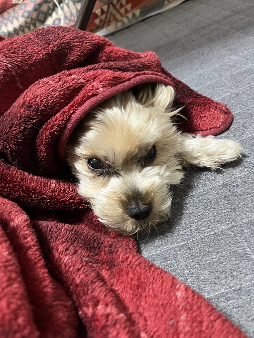 残り24時間を切りました‼️