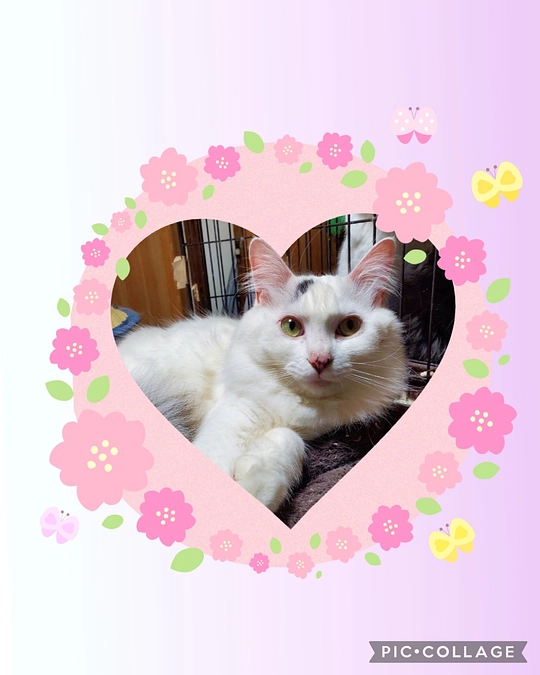 ❤️クラウドファンディング達成❤️