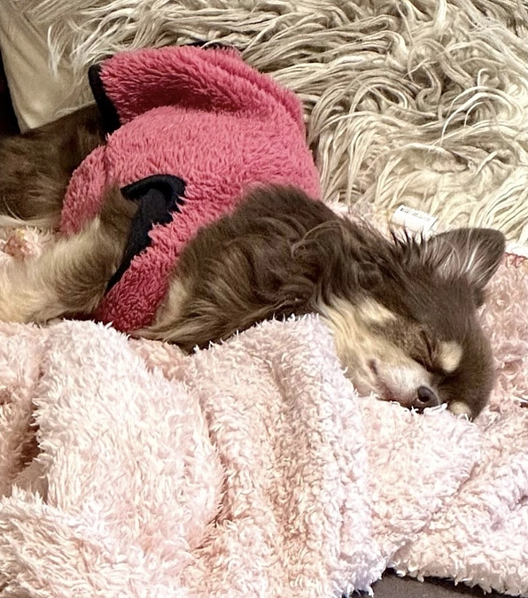 2024/1/8  残り20日   栗ちゃん 心の回復も目指しています‼︎