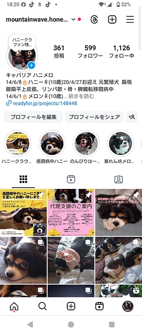 本日11月１日(金)21時〜インスタライブをやります