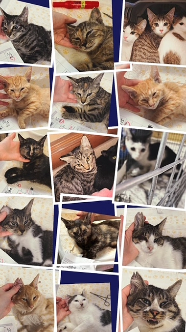 9月能登遠征のご報告と10月の予定