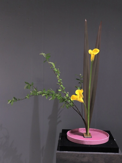 エントリーナンバーA05