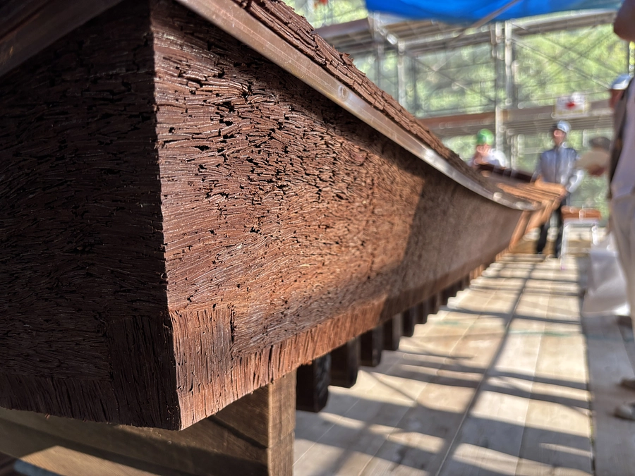 【日経新聞さま】メディアに掲載していただきました。