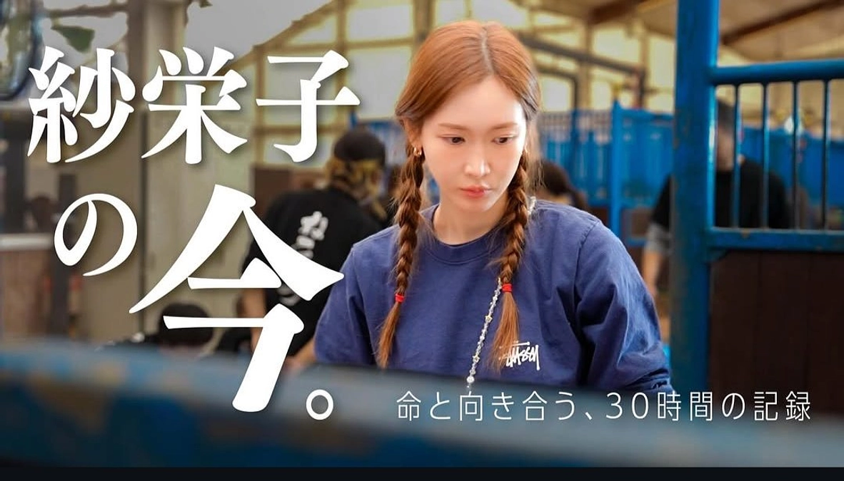 １０月末の那須一斉TNRの模様が  紗栄子さんのYoutubeにアップされました。