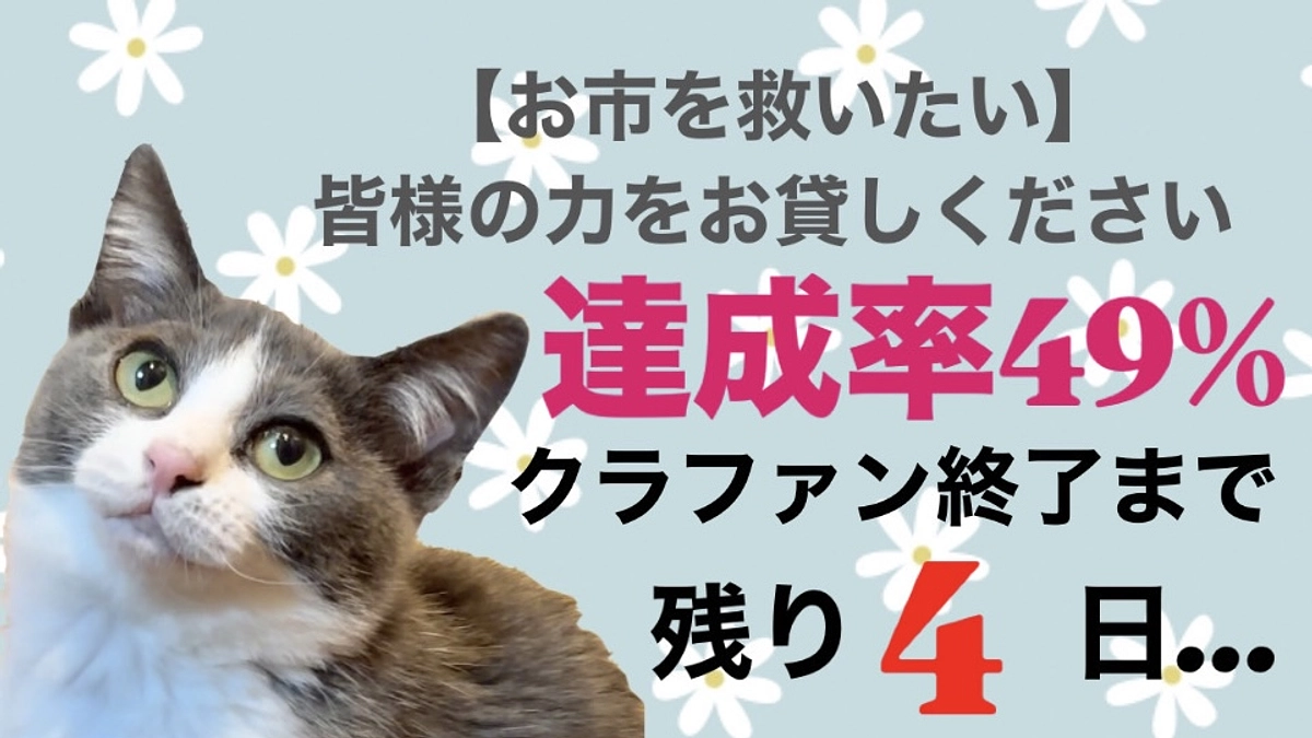 猫風邪が治らないので病院へ：残り４日しかありません／達成率４９％お市の命を守るために力をお貸し下さい