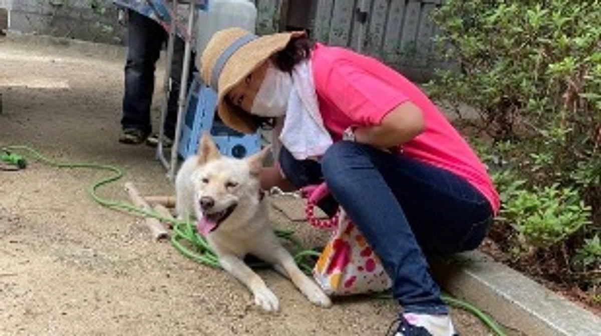 犬猫救い隊様から応援メッセージをいただいております！