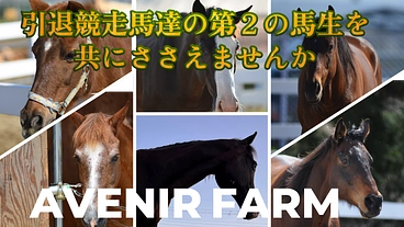引退競走馬達の第２の馬生を、共に支えるサポーターになりませんか！ のトップ画像