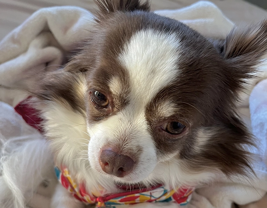 2024.01.05 残り14日となりました🔥