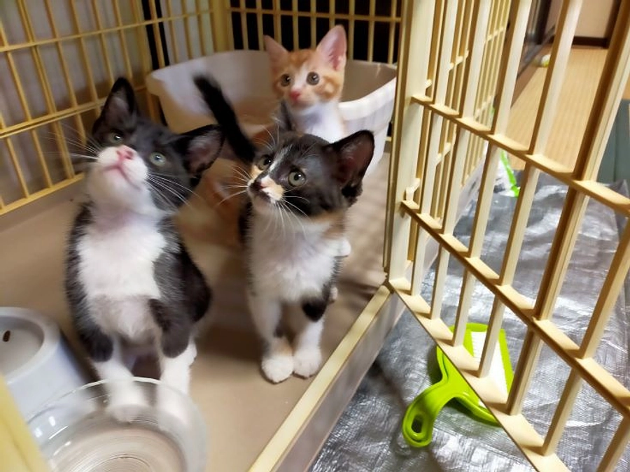 クラウドファンディング成立のご報告