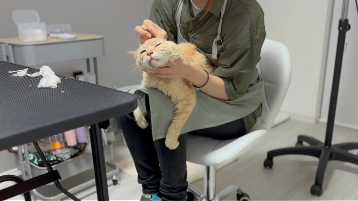 19歳のハッピーを先に引き取りました