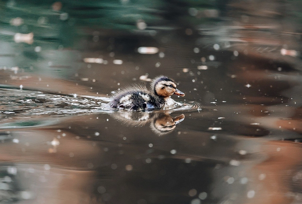 #地方が目覚める財団 が生まれつつあります。