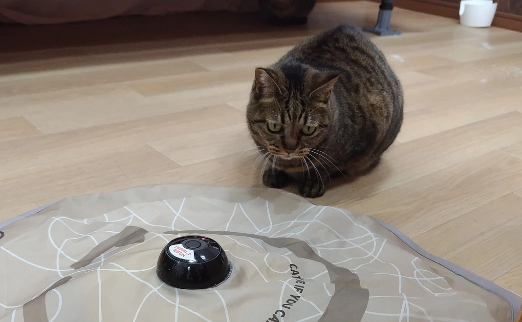 感謝のメール　1️⃣