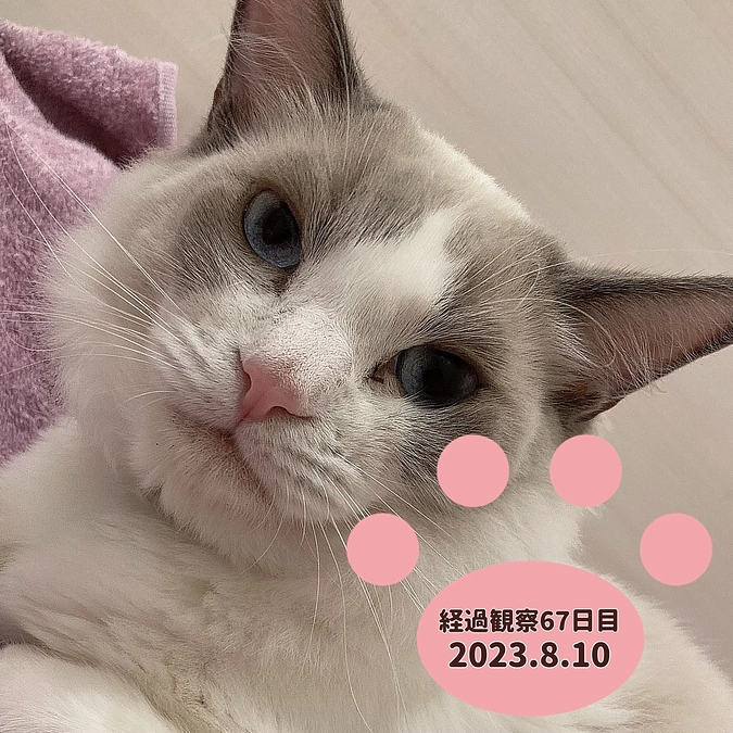 経過観察67日目(2023.8.10)