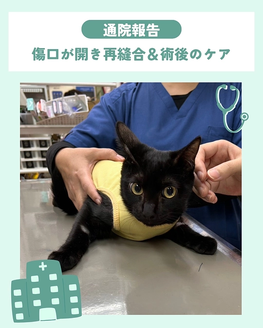 💝皆様に繋いでいただいた命！