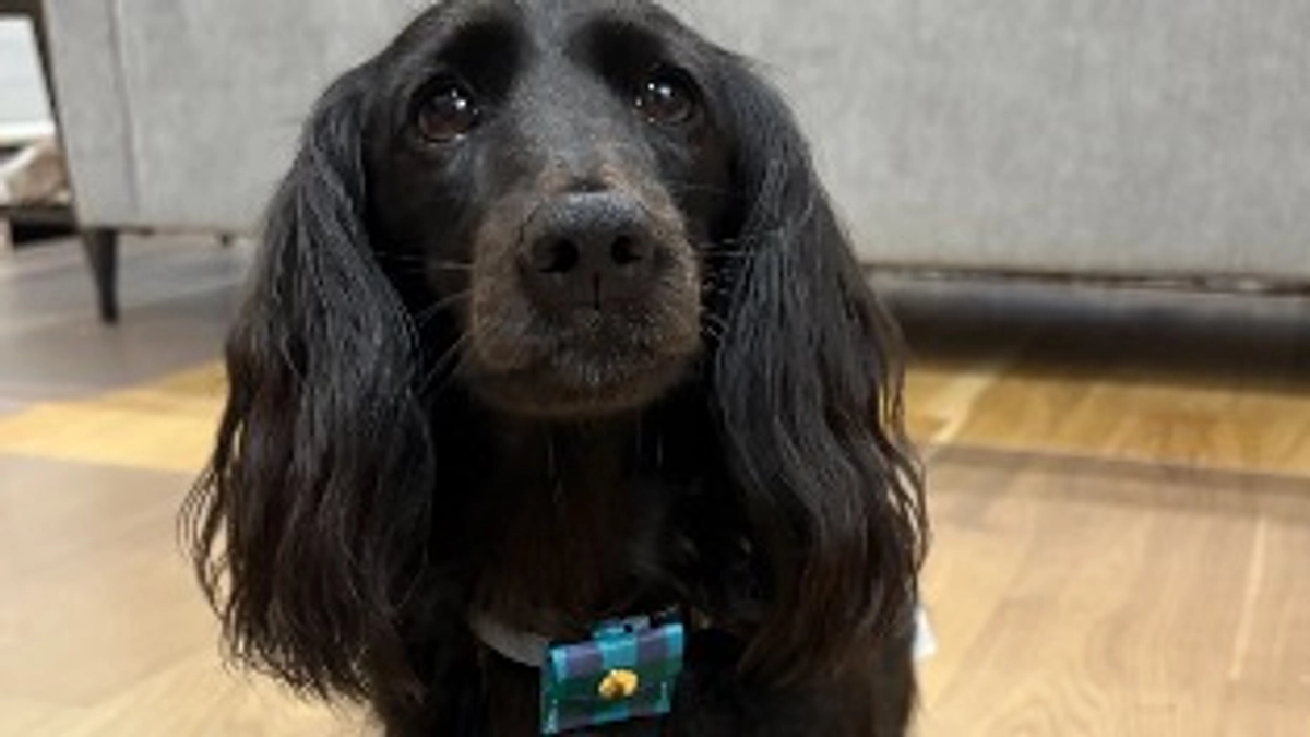 10,000円のご支援へ返礼品を設定いたしました！