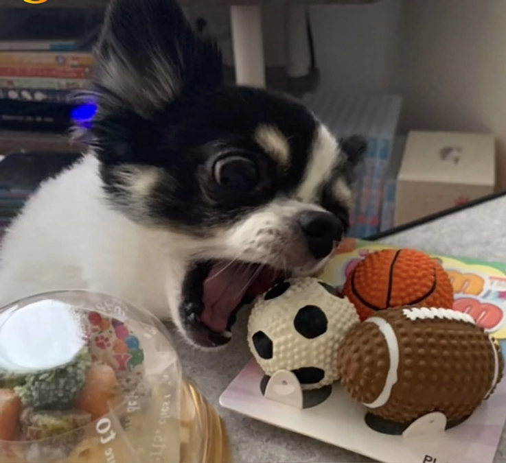 皆様にお願いがあります