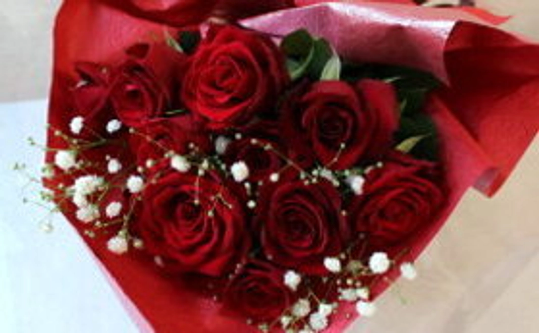 5000円応援コース