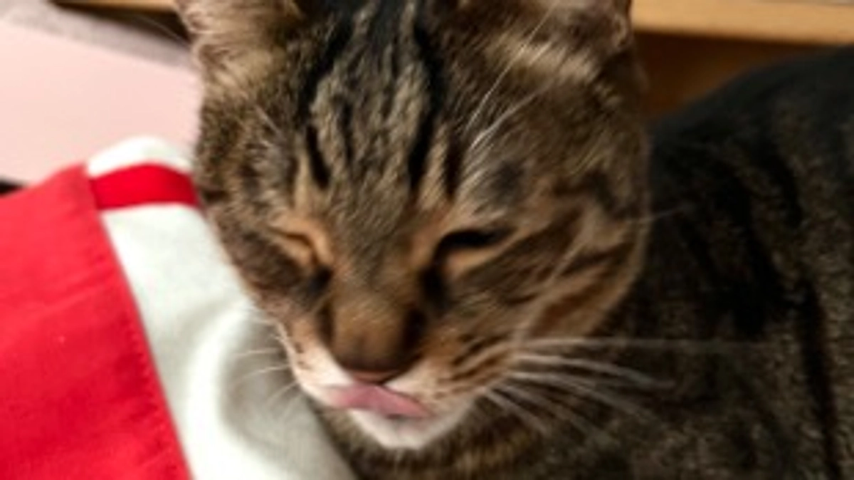 【今日のなっちゃん】6月14日