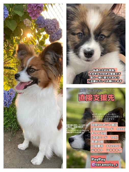 最後の1時間‼️諦めません‼️