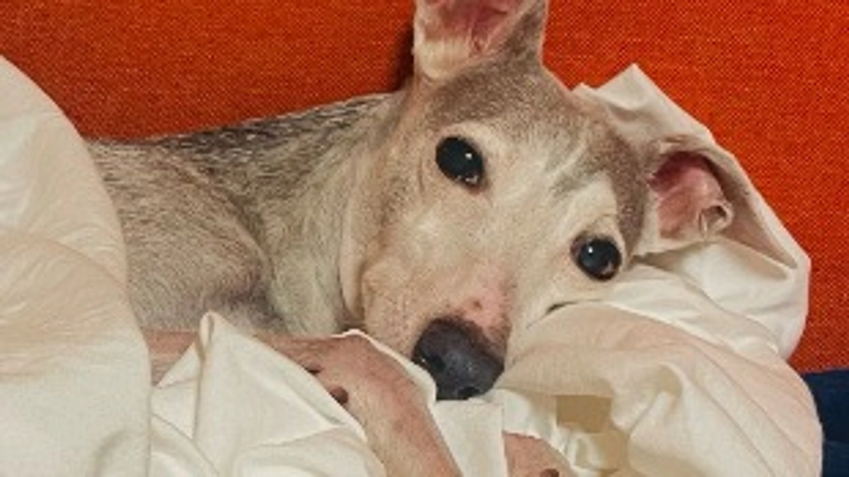 残り3日🗓️達成率36%⏰💦