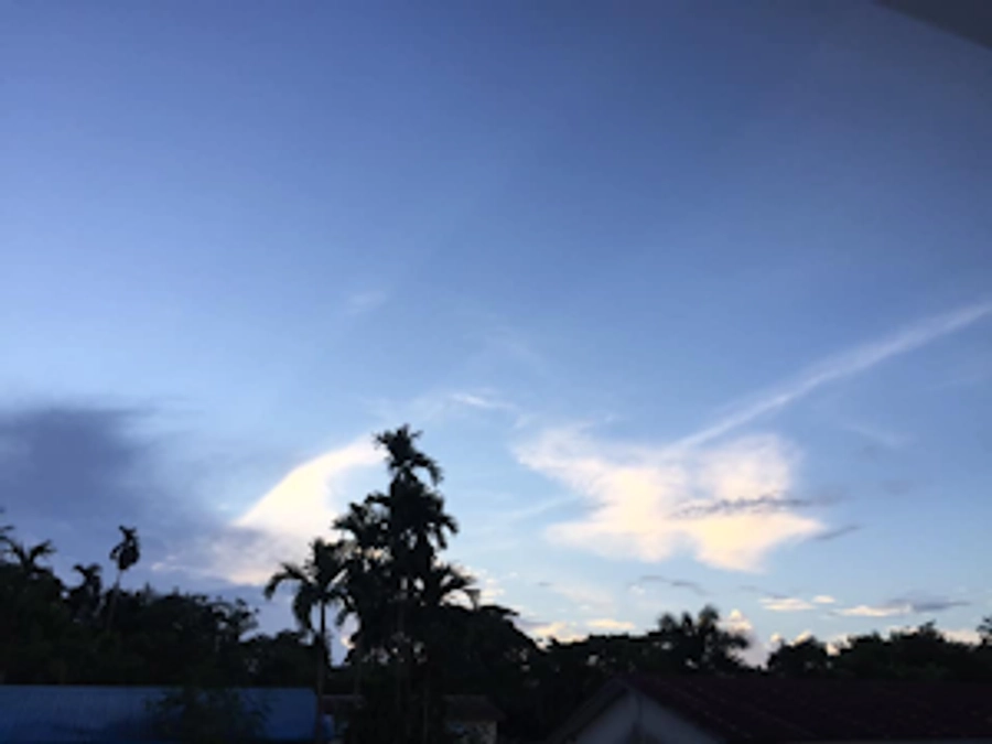 9月14日、愛知・日進市でMFCG代表の名知仁子が講演