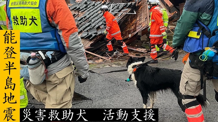 能登半島地震　災害救助犬派遣