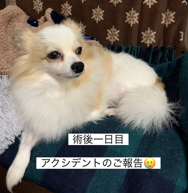 術後1日目(脳梗塞)