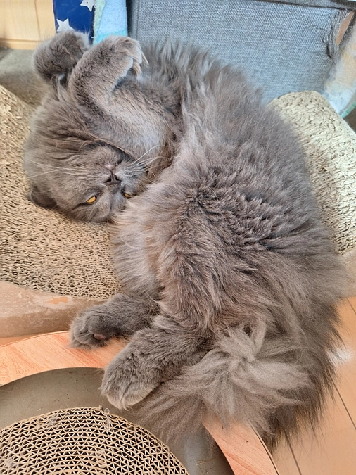 あと５日しかありません🆘️😭