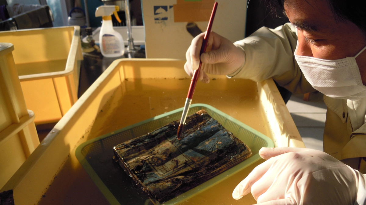 陸前高田市立博物館の熊谷賢さまより応援メッセージをいただきました。