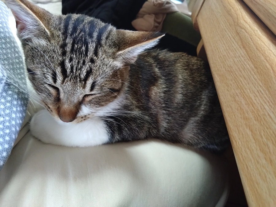 定期検診でした。