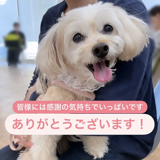 達成することが出来ました！本当にありがとうございます🙇🏻‍♀️