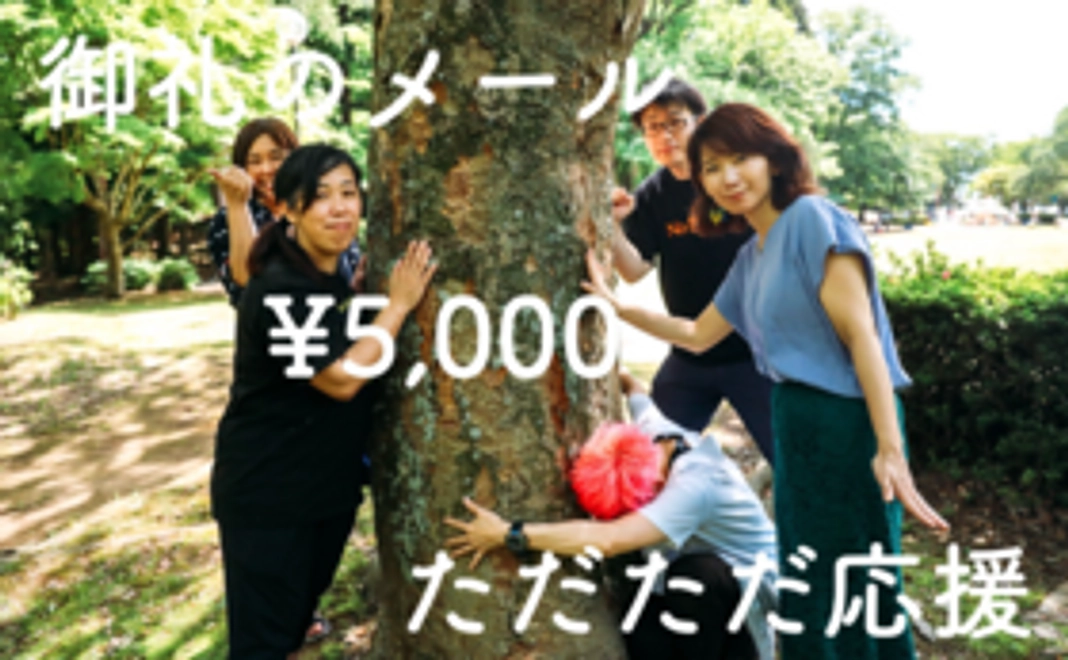 お気持ちコース