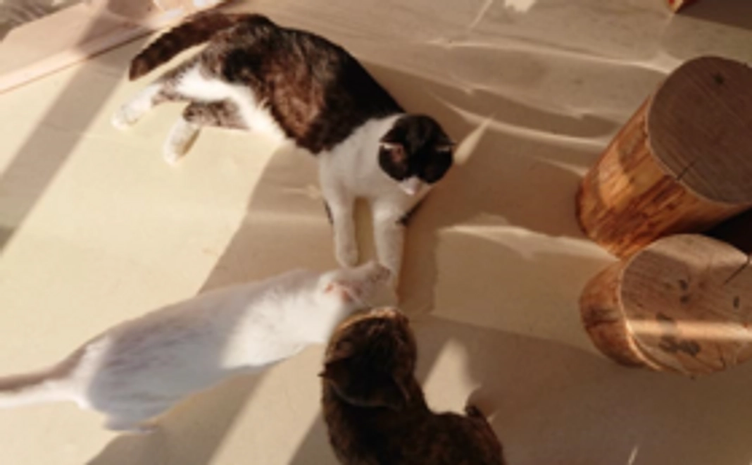 心を込めてお礼のメールを送らせていただきます。