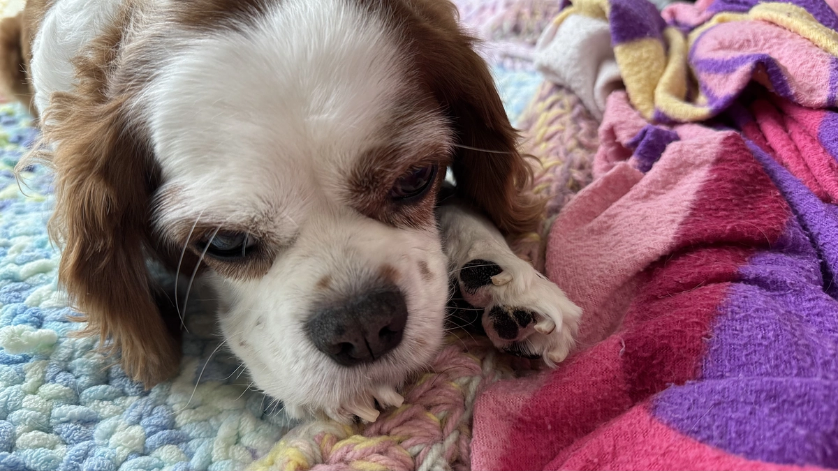 あたたかいお言葉までありがとうございます✨【44日目】