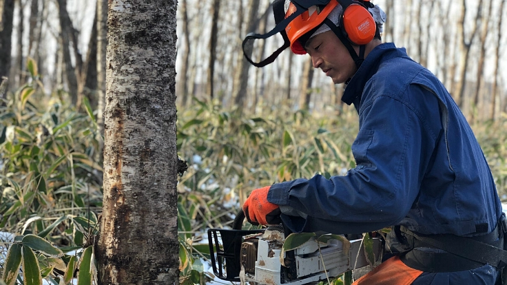 プロの木こりの夢、北海道白老町にキャンプ場を作りたい。