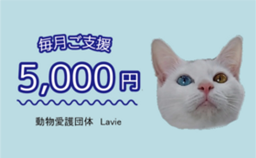 毎月ご支援　5,000円コース