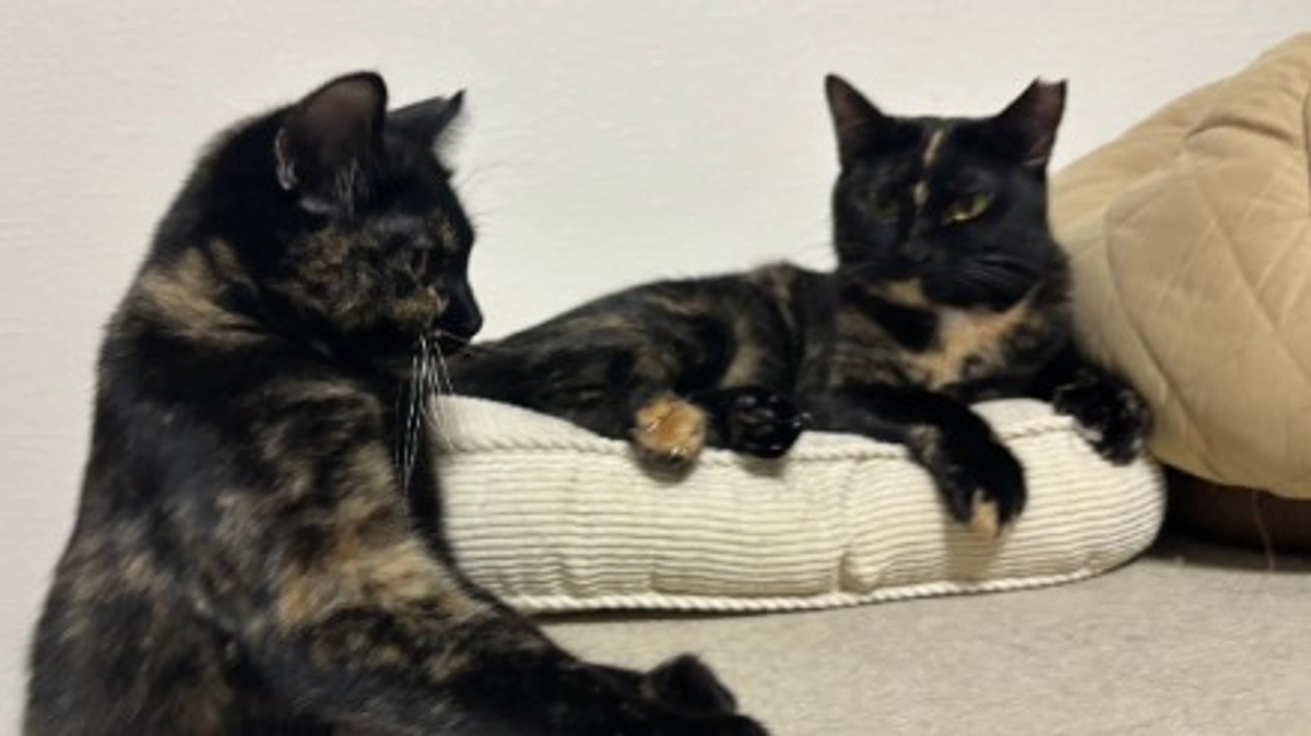 あたたかい人たちに囲まれて５０万円達成しました！！